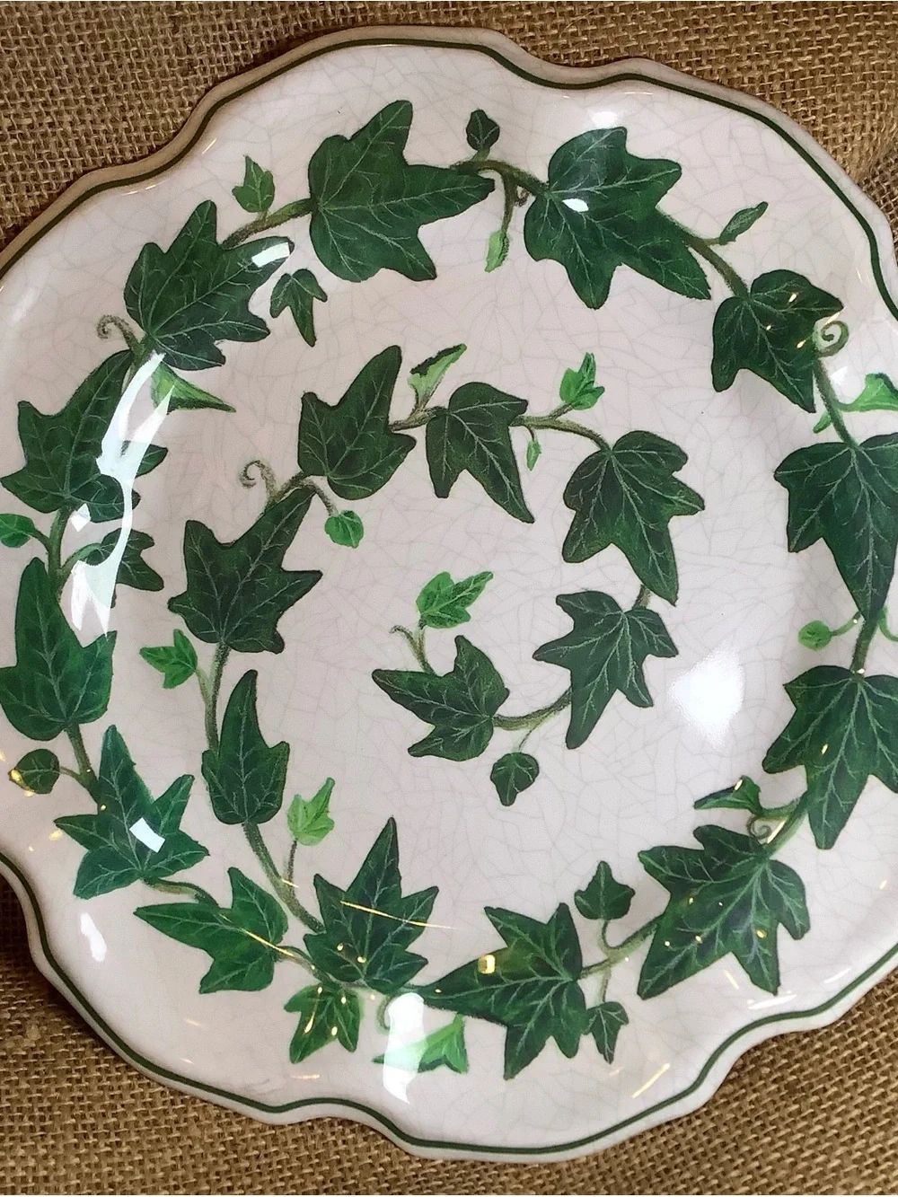 Winterthur Interpretation Melamine Plates Ivy Pattern Set of 4 Spiral Scalloped